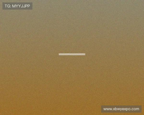 星空体育官方入口安全登录平台畅享赛事直播体验